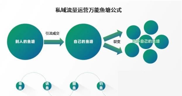 私域流量运营万能鱼塘公式