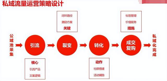 私域流量运营策略设计